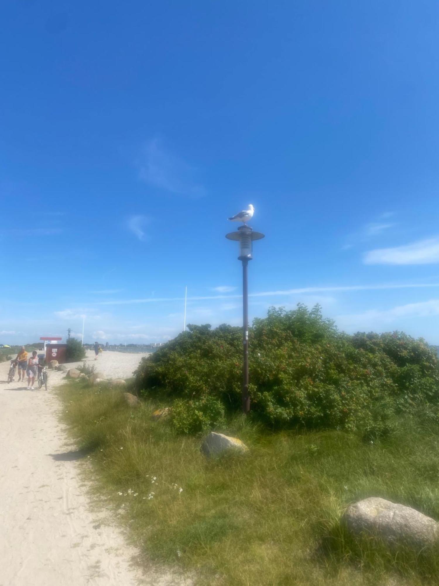 Wohnwagen Auf Dem Wulfenerhals Ca 150M Bis Zum Meer Fehmarn Dış mekan fotoğraf